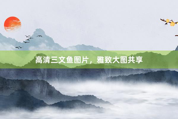 高清三文鱼图片，雅致大图共享
