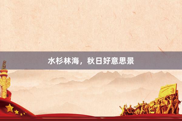 水杉林海,秋日好意思景