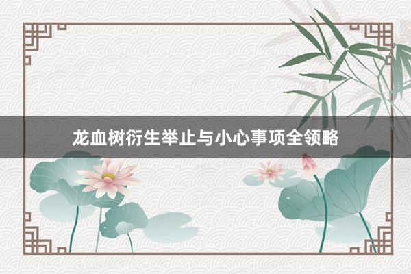 龙血树衍生举止与小心事项全领略