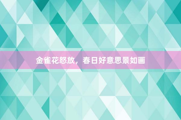 金雀花怒放,春日好意思景如画