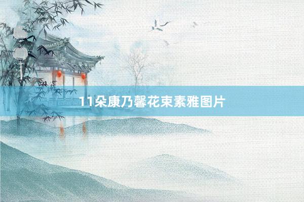 11朵康乃馨花束素雅图片