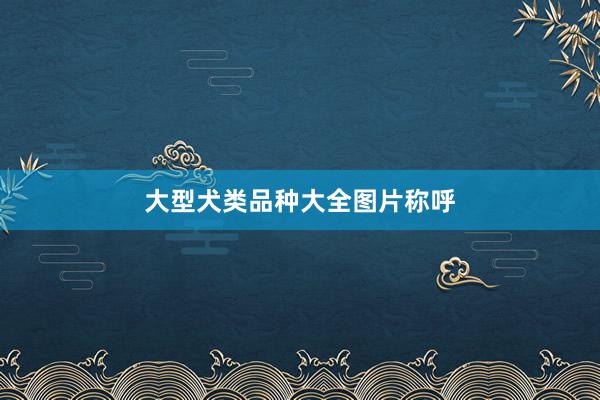 大型犬类品种大全图片称呼